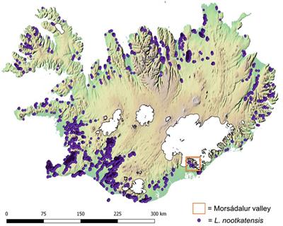 Invasion of a Legume Ecosystem Engineer in a <mark class="highlighted">Cold Biome</mark> Alters Plant Biodiversity